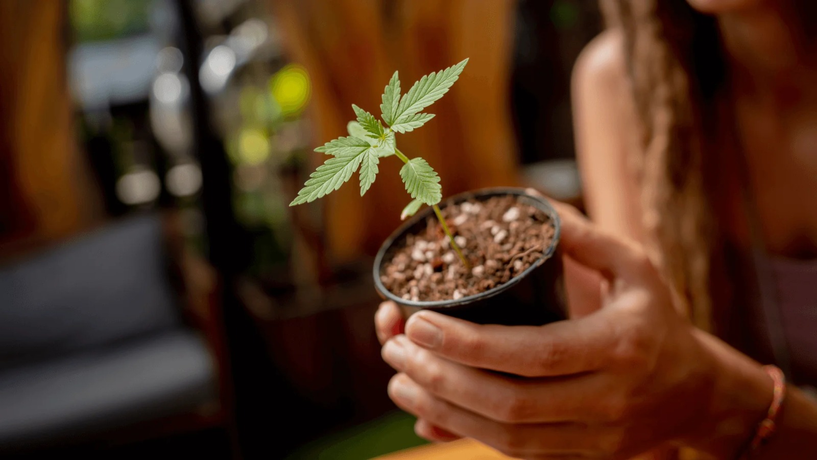 Pre-Filled Vape Oil Cartridges Australia – Analysis of Australian Vape Trends